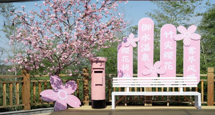 武汉旅行社哪家口碑最好揭秘：启源假期如何打造极致旅行体验