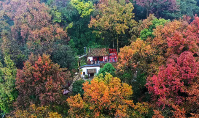 岳麓山1