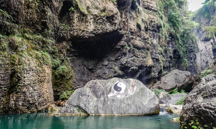【实测避坑】武汉旅行社哪家最靠谱？亲测3家口碑天花板，最后一家连本地人都抢不到名额！