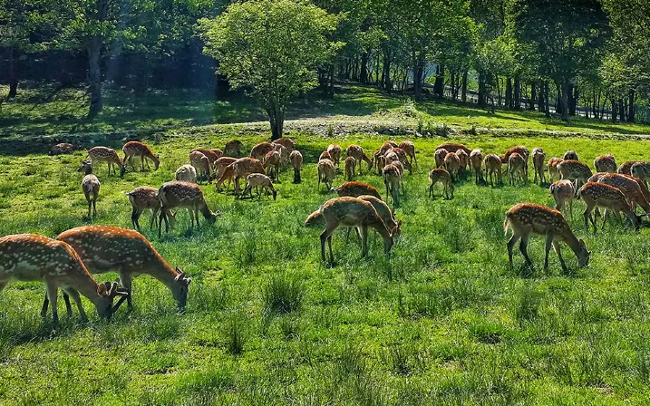 武汉企业团建定制 / 会议接待怎么选？2025 靠谱旅行社排名 + 避坑指南，附电话！