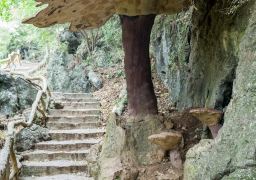travel picture