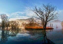 travel picture