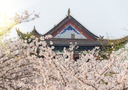 travel picture