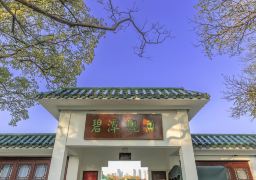 travel picture