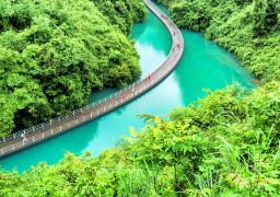 travel picture