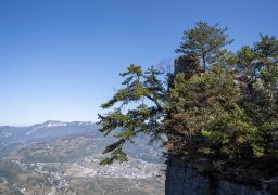 travel picture
