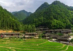 travel picture