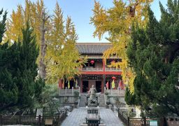 travel picture