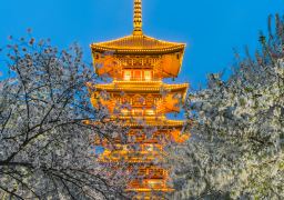 travel picture