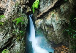 travel picture