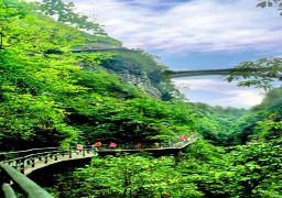 travel picture