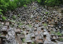 travel picture