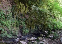 travel picture