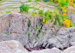 travel picture
