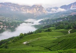 travel picture